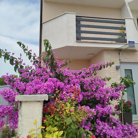 Appartement Smokvica à Savudrija Extérieur photo